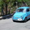 Burgio_2009 (303)